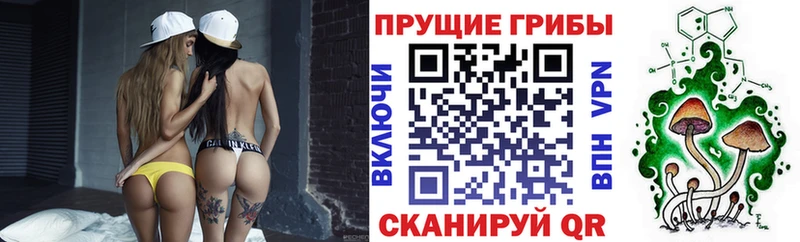 Купить  Бор  Псилоцибиновые грибы ЛСД 